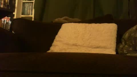 longlorne online show from February 15, 4:31 am