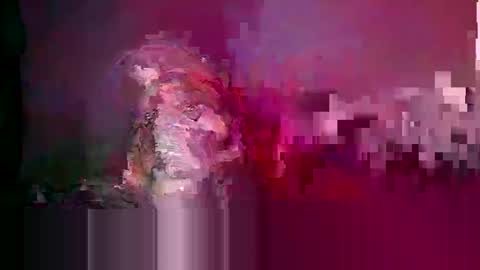 longone2600 online show from February 17, 2:30 am