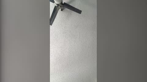 Dominate bbc online show from February 3, 7:52 pm