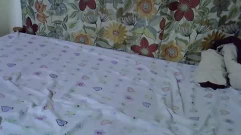Snapshot of lora_amor chatting on April 30, 9:26 am lora_amor online show from April 30, 9:26 am