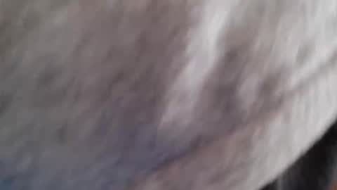 Snapshot of lordhealt chatting on April 30, 1:17 pm lordhealt online show from April 30, 1:17 pm