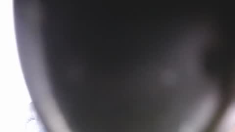 Snapshot of lorex_27 chatting on July 9, 12:15 am lorexxw online show from July 9, 12:15 am