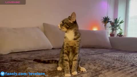 Snapshot of lovelorn_ chatting on October 22, 11:54 am Elsa online show from October 22, 11:54 am