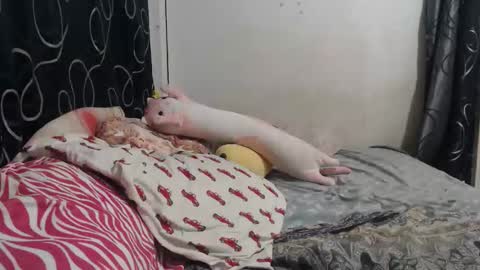 loveme114 online show from March 30, 12:33 am