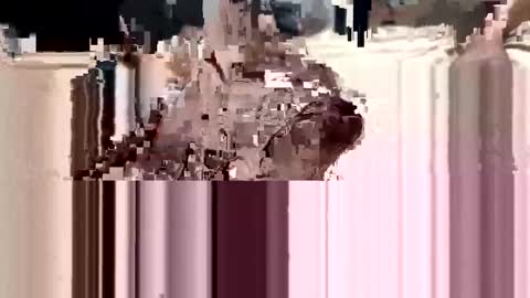 Snapshot of loverboy000017 chatting on March 11, 1:05 am loverboy000017 online show from March 11, 1:05 am