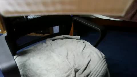 lovetolick272988 online show from October 21, 2:34 am
