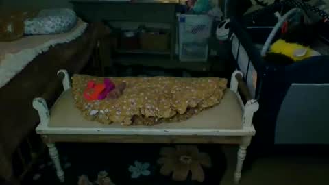 lovetubes101 online show from September 19, 1:18 am