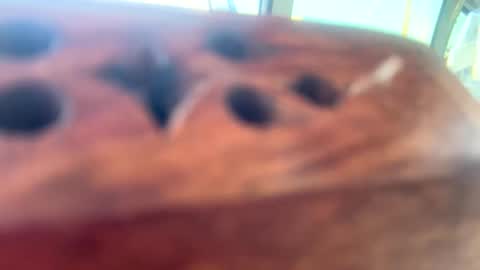 Snapshot of loveyourkittty chatting on March 12, 10:17 pm StacyMaeWish online show from March 12, 10:17 pm