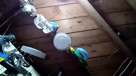 lowtidehightide online show from November 25, 4:51 pm