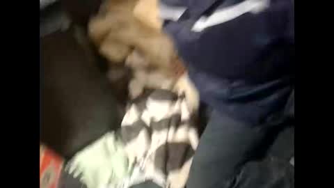 Lshot D online show from November 28, 8:00 pm