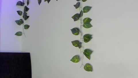 Jenn online show from February 4, 1:44 am