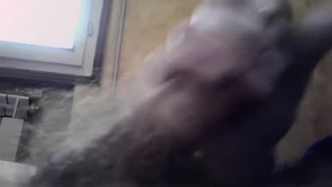 Snapshot of lucafava90 chatting on January 4, 9:32 am lucafava90 online show from January 4, 9:32 am