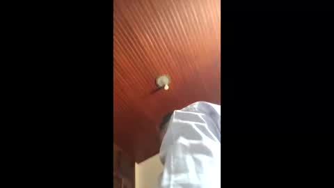 Snapshot of lucasgody chatting on January 16, 4:55 pm lucas online show from January 16, 4:55 pm