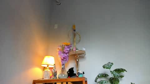 Snapshot of lucian_davii chatting on April 22, 2:18 pm Pirulo online show from April 22, 2:18 pm