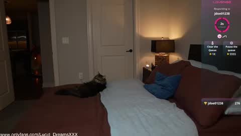 Snapshot of lucid_dreamsxxx chatting on October 15, 12:00 am Lucid Lu online show from October 15, 12:00 am