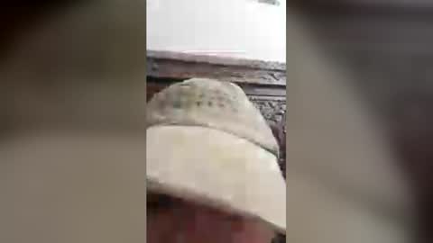 luckyfalcon2022 online show from June 30, 5:08 am