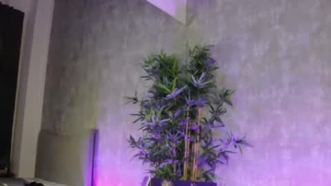 lucyrayy online show from February 4, 10:58 pm