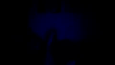 Snapshot of luffray chatting on February 9, 12:14 am luffray online show from February 9, 12:14 am