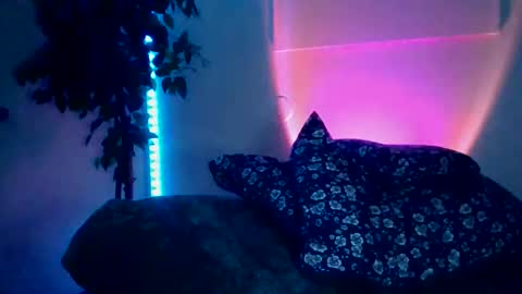 Snapshot of luisjg24hrs chatting on May 18, 8:42 am luisjg24hrs online show from May 18, 8:42 am