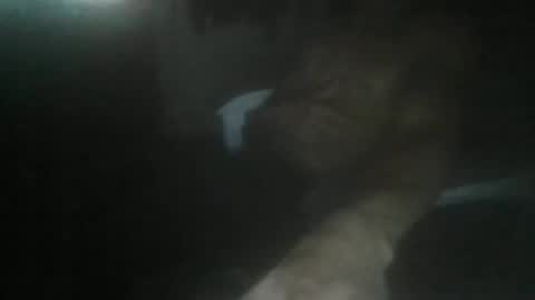 Snapshot of luizs23 chatting on November 5, 5:07 am luizs23 online show from November 5, 5:07 am