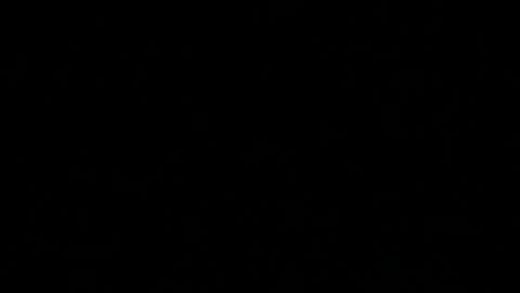 Skaluk online show from April 12, 10:48 pm