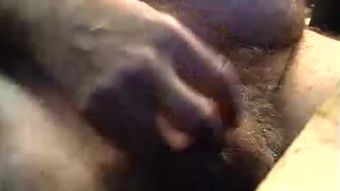 lukestarfckr online show from September 11, 9:20 am