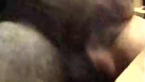 lukestarfckr online show from October 9, 9:40 am