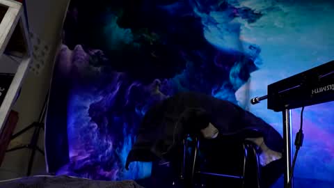 lukewilde online show from February 24, 11:32 am