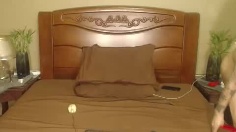 lulu_wild online show from April 10, 8:30 am