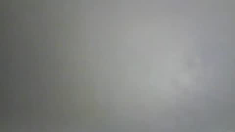 Bee Bee online show from February 10, 4:11 pm