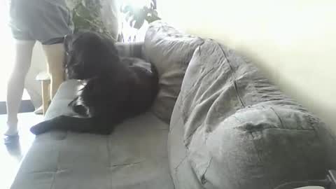 Snapshot of luzardol chatting on March 5, 2:56 pm luzardol online show from March 5, 2:56 pm