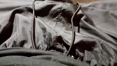 Lvac11 online show from September 26, 11:25 am