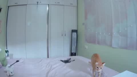 Kira online show from October 10, 10:36 am