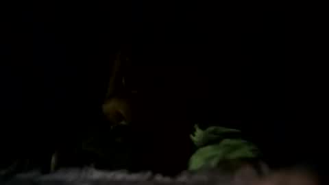m8437769 online show from October 22, 7:13 pm