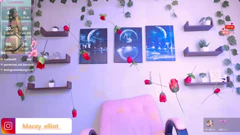 Macey Elliot Modelo Independiente online show from February 26, 7:16 pm
