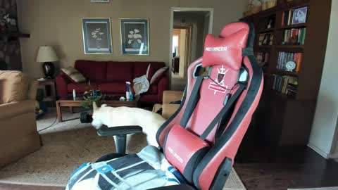 Snapshot of machinecumkelly69 chatting on September 21, 6:09 pm machinecumkelly69 online show from September 21, 6:09 pm