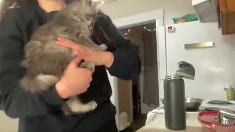 maddyhasyummypussy online show from December 15, 12:48 am