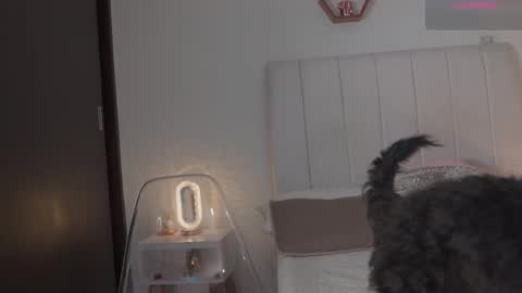 Valentina   1030   530  -  online show from February 14, 6:21 am