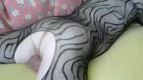 maestro2017 online show from April 6, 6:47 am