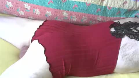 maestro2017 online show from April 11, 6:07 am