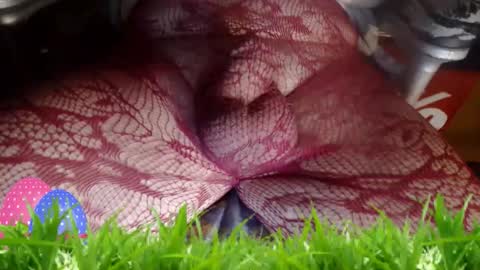 maestro2017 online show from April 12, 12:15 am