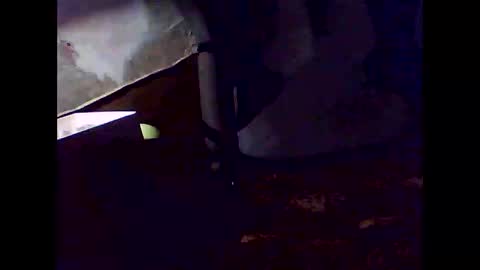 romantic online show from November 2, 7:33 am