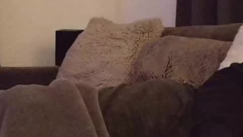 Snapshot of magic_passionitaliano chatting on March 3, 6:36 pm magic_passionitaliano online show from March 3, 6:36 pm