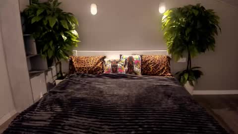 Emily online show from December 2, 6:30 am