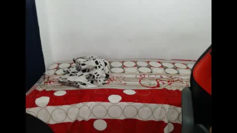Snapshot of maik_135 chatting on October 21, 4:13 am maicol online show from October 21, 4:13 am