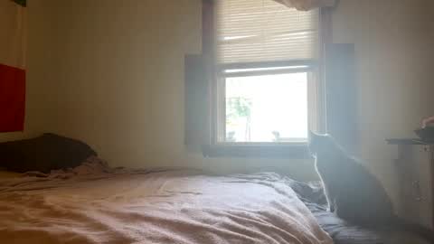 Snapshot of mainecollegeboy chatting on February 26, 1:19 pm mainecollegeboy online show from February 26, 1:19 pm