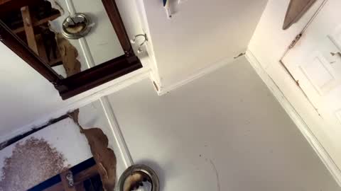 Snapshot of mainecollegeboy chatting on September 15, 3:34 pm mainecollegeboy online show from September 15, 3:34 pm