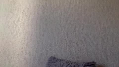 majo_gomezz online show from March 20, 7:41 pm