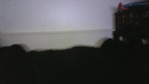 CommandbondageNipples bondage kink submissive lovense slave wgear. modequiethvyBondage If Password goldfish online show from February 26, 4:00 am