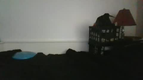 Snapshot of malebdsmslut chatting on May 31, 12:23 pm CommandbondageNipples bondage kink submissive lovense slave wgear. modequiethvyBondage If Password goldfish online show from May 31, 12:23 pm